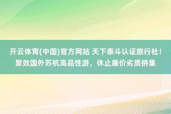 开云体育(中国)官方网站 天下泰斗认证旅行社！聚效国外苏杭高品性游，休止廉价劣质拼集
