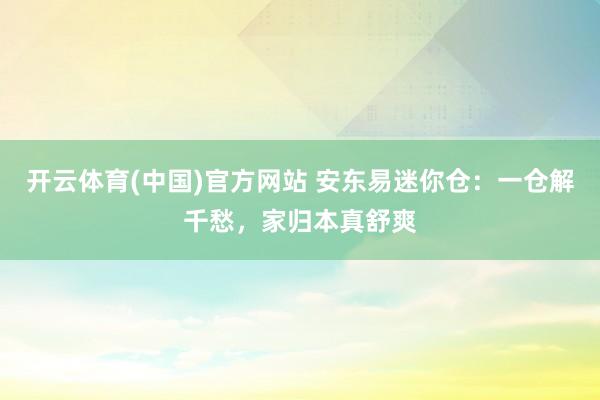 开云体育(中国)官方网站 安东易迷你仓：一仓解千愁，家归本真舒爽