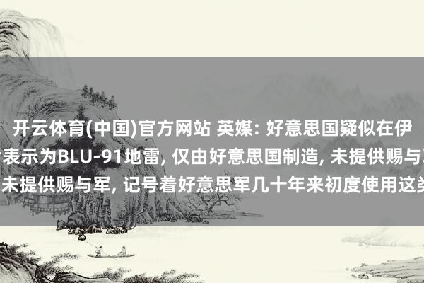 开云体育(中国)官方网站 英媒: 好意思国疑似在伊朗墟落布设地雷， 相片表示为BLU-91地雷， 仅由好意思国制造， 未提供赐与军， 记号着好意思军几十年来初度使用这类极具争议的火器
