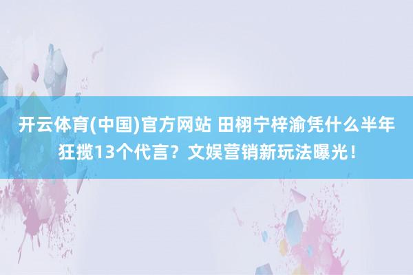 开云体育(中国)官方网站 田栩宁梓渝凭什么半年狂揽13个代言？文娱营销新玩法曝光！