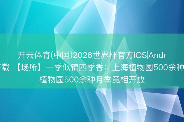 开云体育(中国)2026世界杯官方IOS|Android手机app下载 【场所】一季似锦四季香：上海植物园500余种月季竞相开放