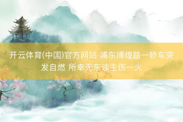 开云体育(中国)官方网站 浦东博煌路一轿车突发自燃 所幸无东谈主伤一火