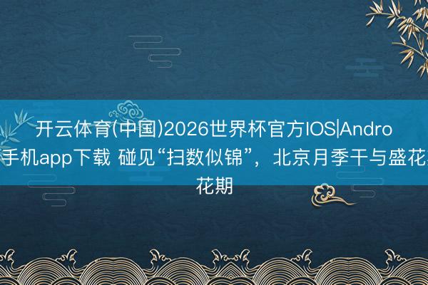 开云体育(中国)2026世界杯官方IOS|Android手机app下载 碰见“扫数似锦”，<a href=