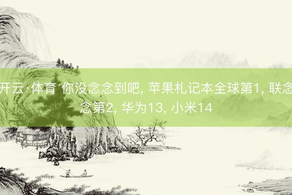 开云·体育 你没念念到吧， 苹果札记本全球第1， 联念念第2， 华为13， 小米14