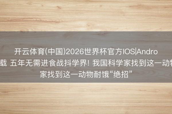 开云体育(中国)2026世界杯官方IOS|Android手机app下载 五年无需进食战抖学界! 我国科学家找到这一动物耐饿“绝招”