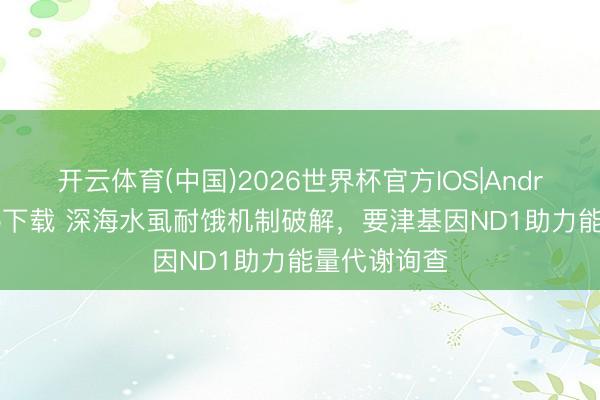 开云体育(中国)2026世界杯官方IOS|Android手机app下载 深海水虱耐饿机制破解,要津基因ND1助力能量代谢询查