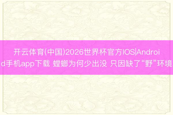 开云体育(中国)2026世界杯官方IOS|Android手机app下载 螳螂为何少出没 只因缺了“野”环境