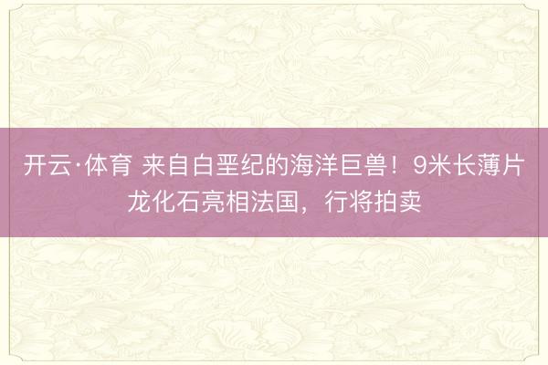 开云·体育 来自白垩纪的海洋巨兽!9米长薄片龙化石亮相法国,行将拍卖