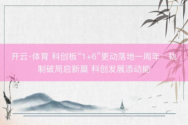 开云·体育 科创板“1+6”更动落地一周年：轨制破局启新篇 科创发展添动能