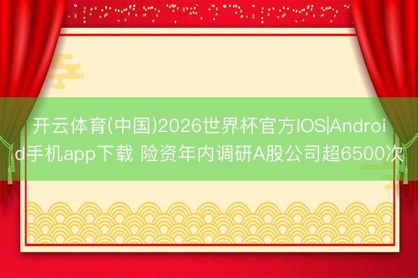 开云体育(中国)2026世界杯官方IOS|Android手机app下载 险资年内调研A股公司超6500次
