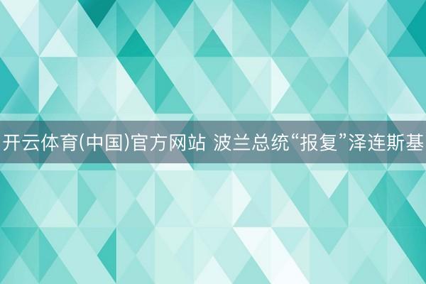 开云体育(中国)官方网站 波兰总统“报复”泽连斯基